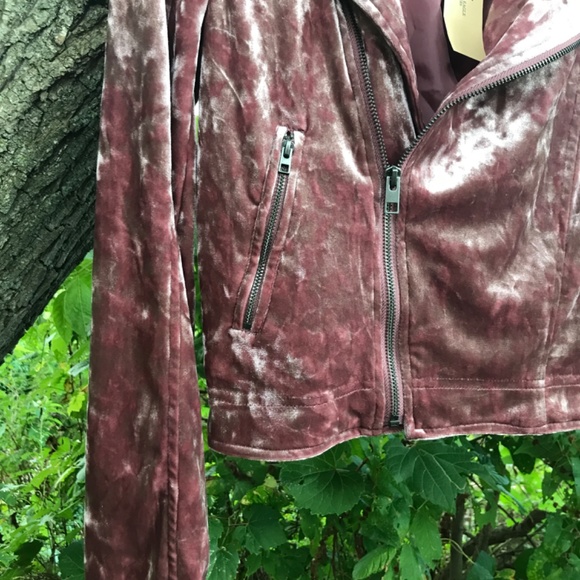 🌻NWT!! Beautiful Crushed Velvet Motorcycle Jacket - Picture 4 of 9